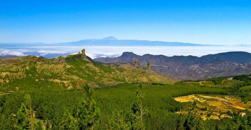 Gran Canaria Highlights Full-Day Tour by Bus - Price and Value: What’s the Bottom Line?