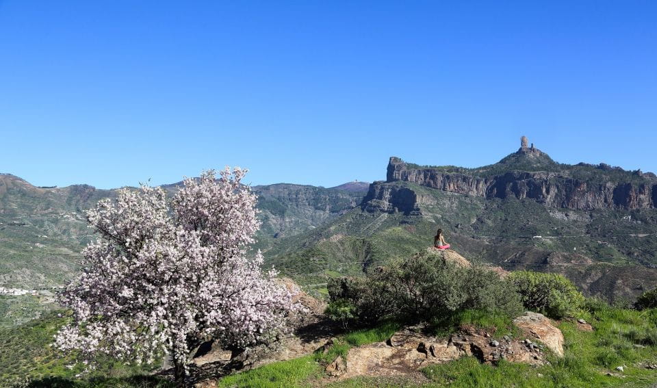 Gran Canaria Highlights Full-Day Tour by Bus - Customer Reviews and Ratings