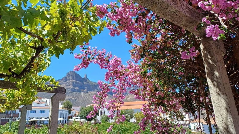 Gran Canaria: Highlights & hidden gems by 2 local guides - Key points / Takeaways: