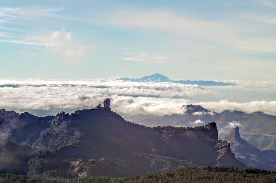 Gran Canaria: Highlights Tour, Hike in the Lauer Forest - Things To Know