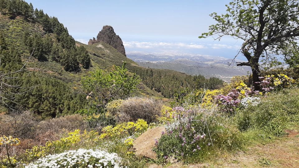 Gran Canaria: Highlights Tour Roque Nublo by 2 Native Guides - Things To Know