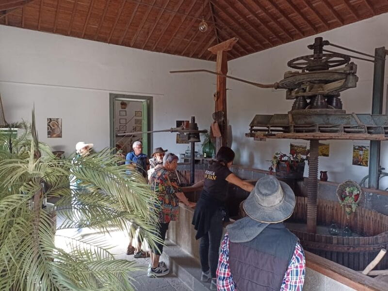 Gran Canaria: Highlights Wine Tasting Tour & shore excursion - Who Will Love This Tour?