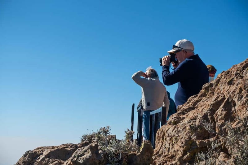 Gran Canaria: Island Highlights Tour with Optional Lunch - Key points / Takeaways