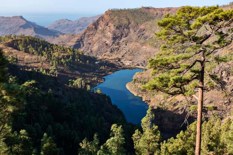 Gran Canaria: Island Highlights Tour with Optional Lunch - Who Will Love This Tour?