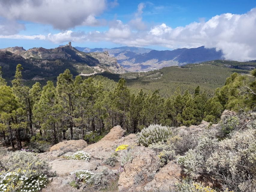 Gran Canaria: Peaks of Gran Canaria Hiking Tour - Participant Requirements