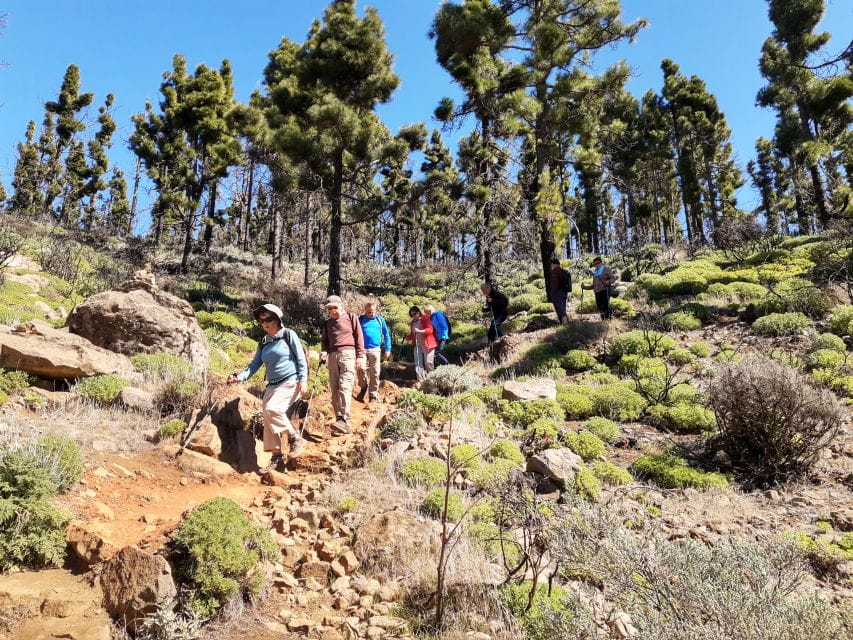 Gran Canaria: Peaks of Gran Canaria Hiking Tour - Additional Resources