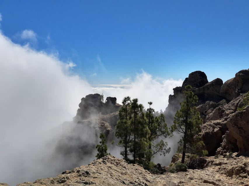Gran Canaria: Peaks of Gran Canaria Hiking Tour - Things To Know