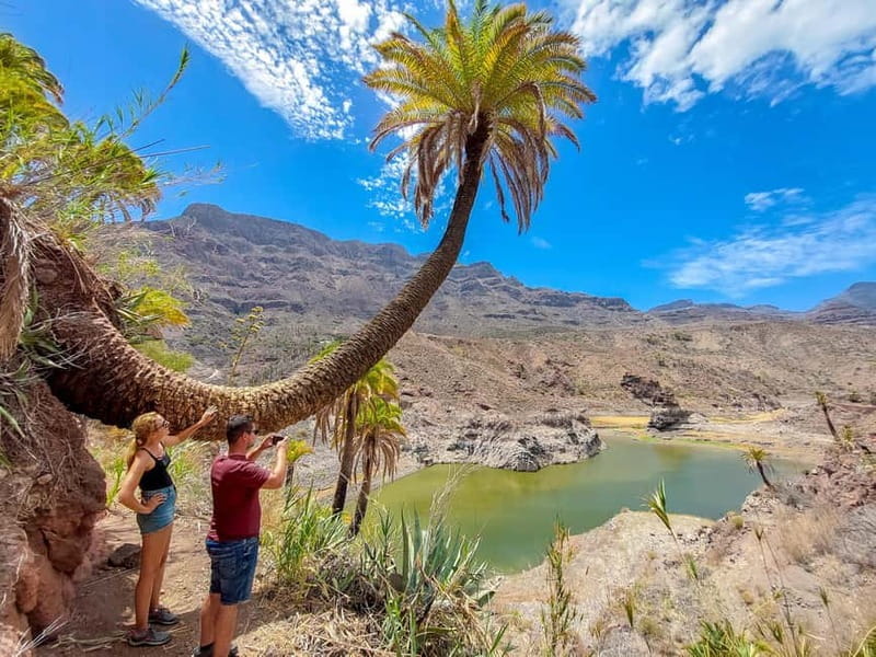 Gran Canaria: Red Gorge, Cave, Oasis Adventure Tour & Picnic - Key points / Takeaways
