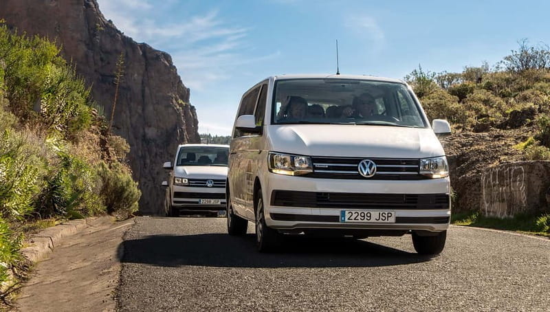 Gran Canaria: Rural Villages Guided Sightseeing Tour - Who Is This Tour Best For?