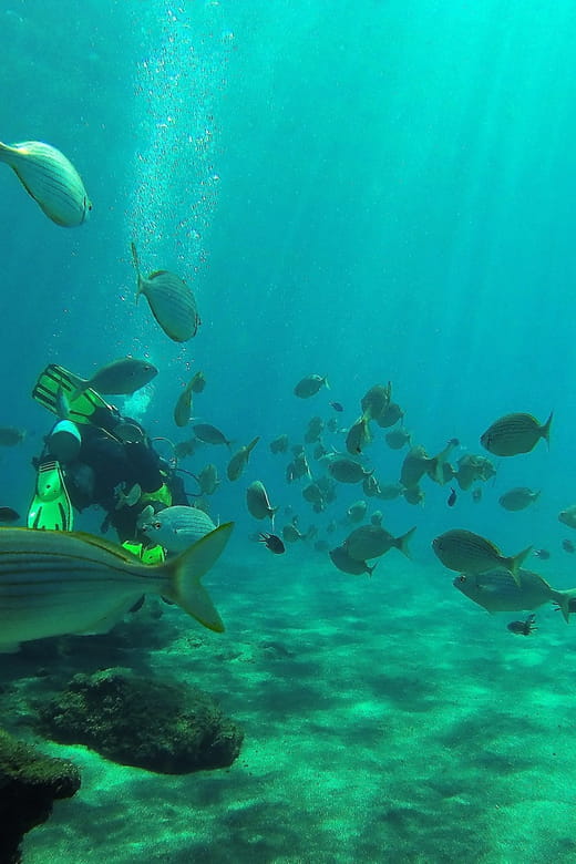 Gran Canaria Scuba Diving: 3-Day 6-Dive Package - Exploring Gran Canarias Underwater World: A Dive Experience Worth Considering