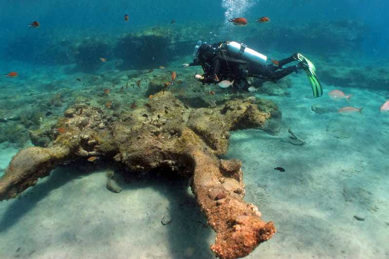 Gran Canaria Scuba Diving: 3-Day 6-Dive Package - Why Choose the Gran Canaria 3-Day Diving Package?