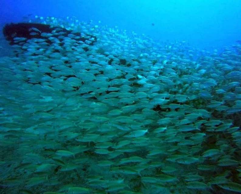 Gran Canaria: Scuba Diving for Beginners - Logistics and Practical Considerations