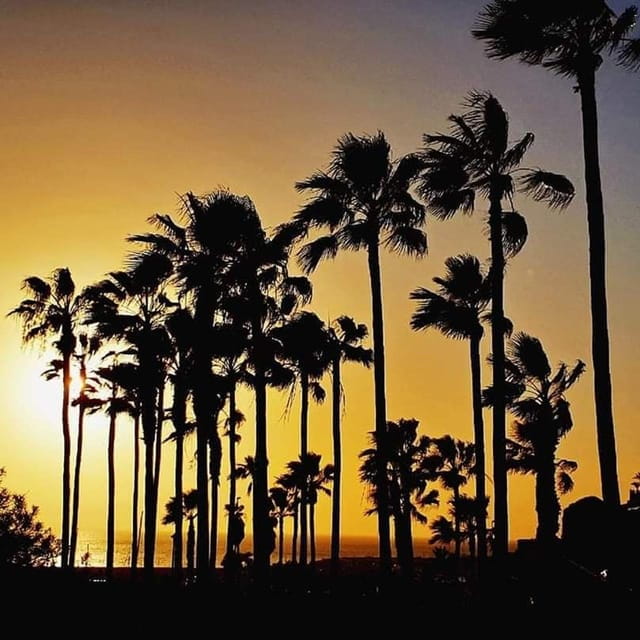 Gran Canaria: Scuba Diving for Beginners - Authentic Reviews and Insights