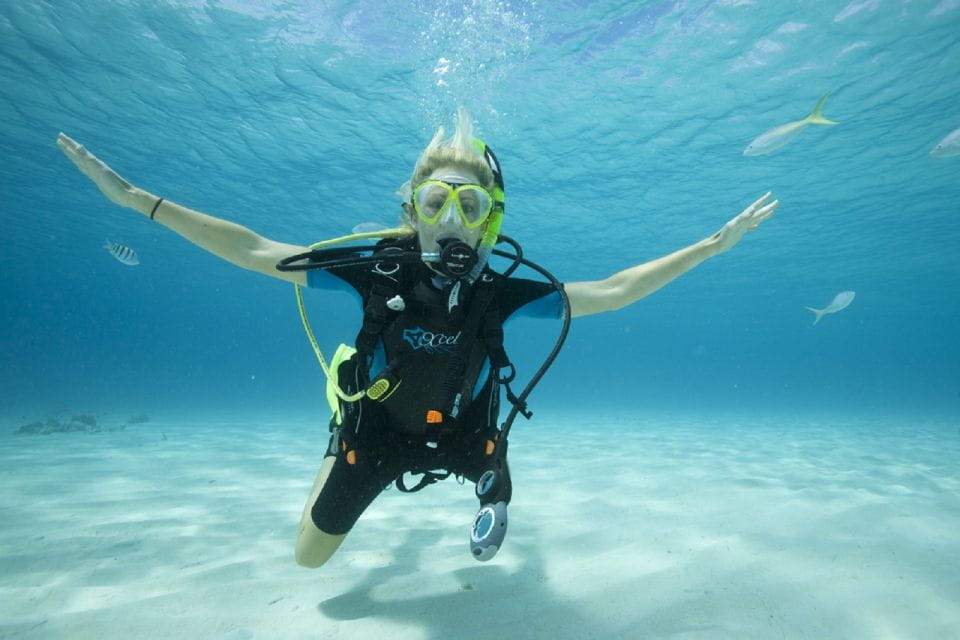 Gran Canaria: Scuba Diving for Beginners - Things To Know