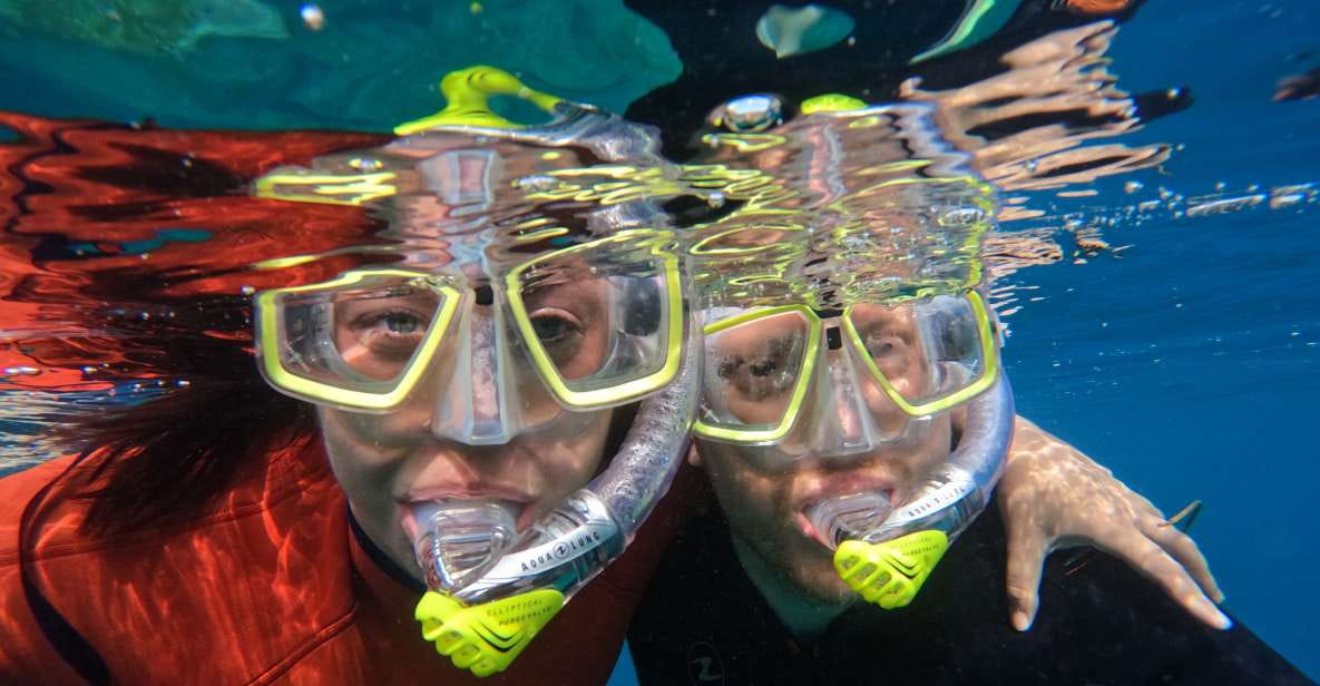 Gran Canaria: Snorkel Tour With Boat on the West Coast - Inclusions and Restrictions