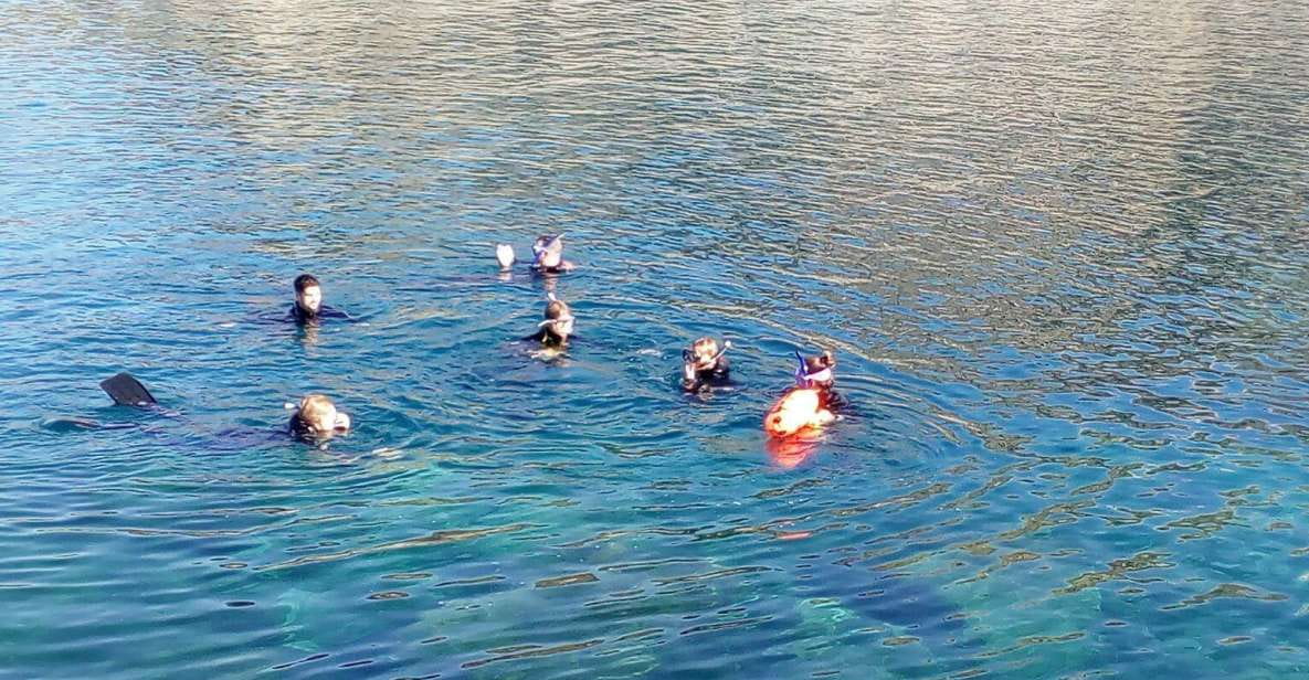 Gran Canaria: Snorkeling Trip - Highlights of the Experience