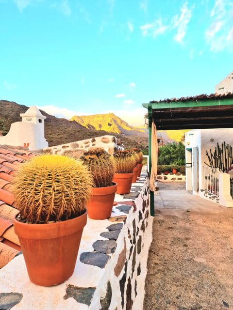 Gran Canaria: Spanish Tapas and Wine Tasting Tour in Mogan - Meeting Point Details