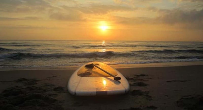 Gran Canaria: Stand-Up Paddle Lesson & Snorkeling Tour - Who Would Love This Tour?