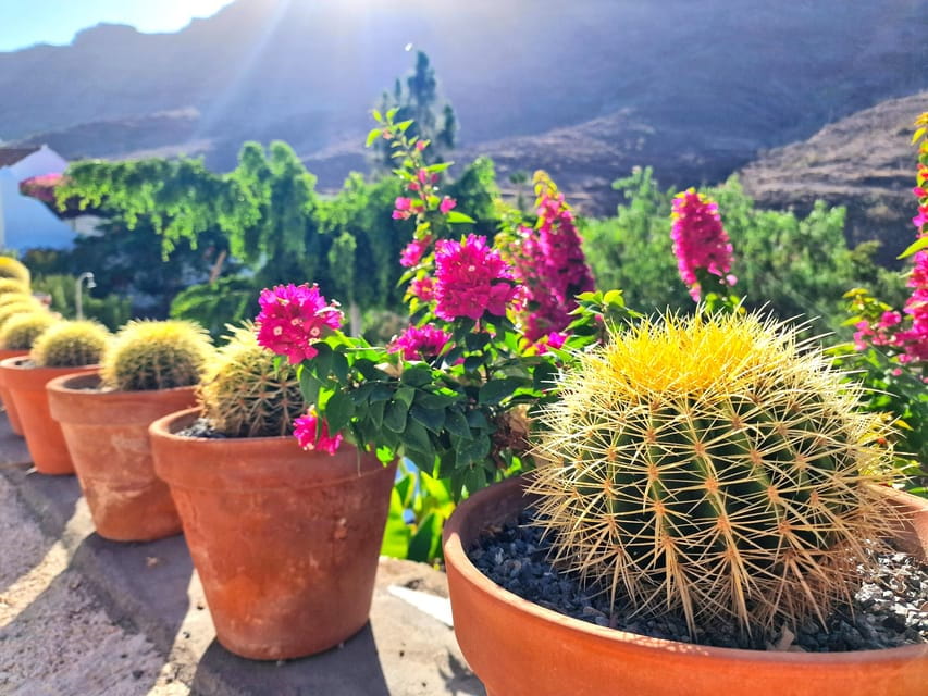 Gran Canaria: Tasting Wine & Local Cheese - Customer Feedback