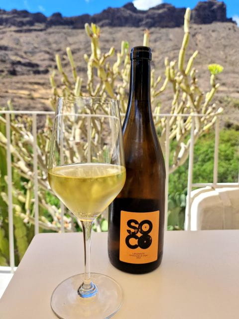 Gran Canaria: Tasting Wine & Local Cheese - Scenic Photo Opportunities