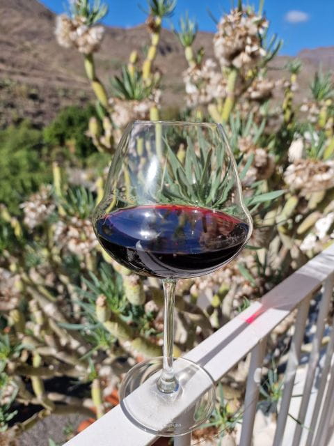 Gran Canaria: Tasting Wine & Local Cheese - Things To Know