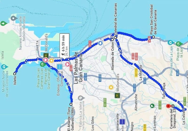 Gran Canaria Welcome: Private Exploring Tour and Local Guide - Who Should Book This Tour?