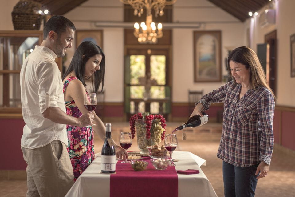 Gran Canaria: Winery Tour, Wine Museum, and Tasting - Unique Features of Bodega San Juan