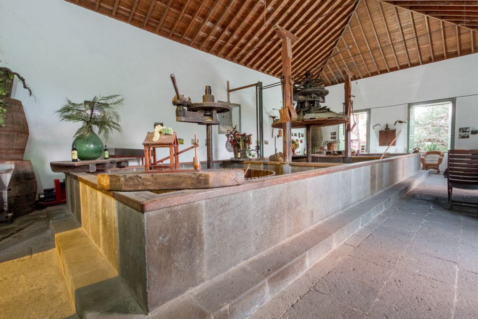 Gran Canaria: Winery Tour, Wine Museum, and Tasting - Tasting Experience and Pairings