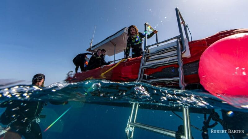 Gran Canaria:Live an Adventure and Learn to Dive with Expert - Frequently Asked Questions