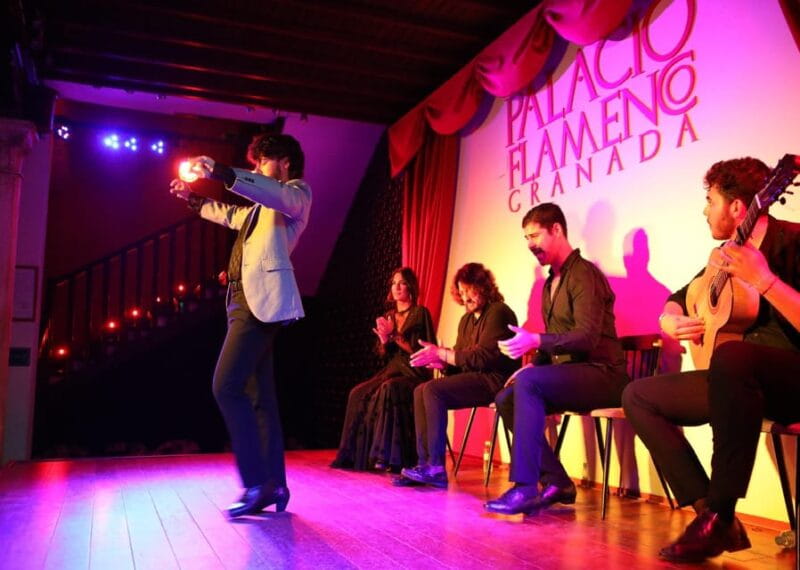 Granada: 1-Hour Traditional Flamenco Show at Palacio - Practical Details and Tips for Visiting