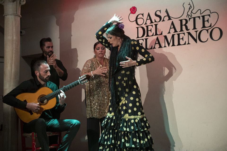 Granada: 1-Hour Traditional Flamenco Show - Things To Know