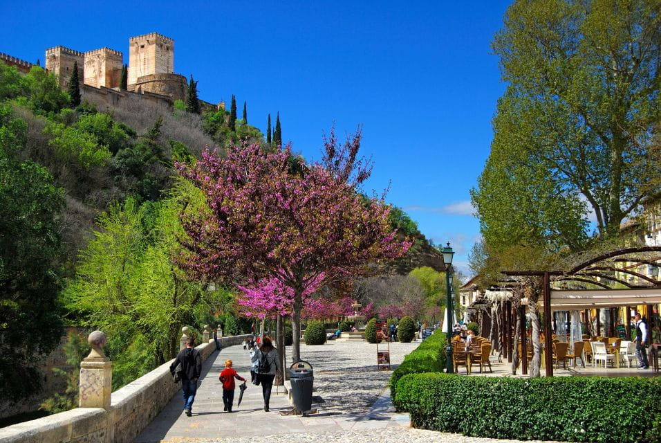 Granada: 2hour Tour of The Albaicín & Sacromonte Premium - Booking Details