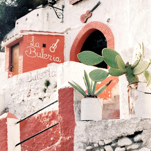 Granada: Albaicín and Sacromonte Guided Private Walking Tour - Who Will Love This Tour?