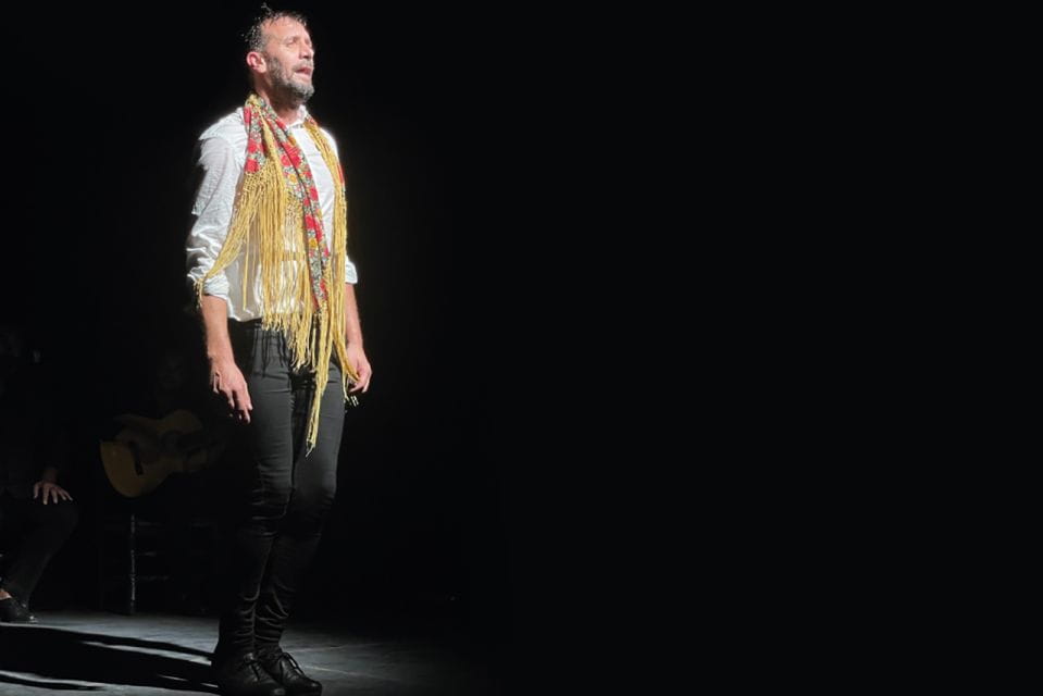 Granada: Albaicín & Sacromonte Walking Tour & Flamenco Show - Important Information