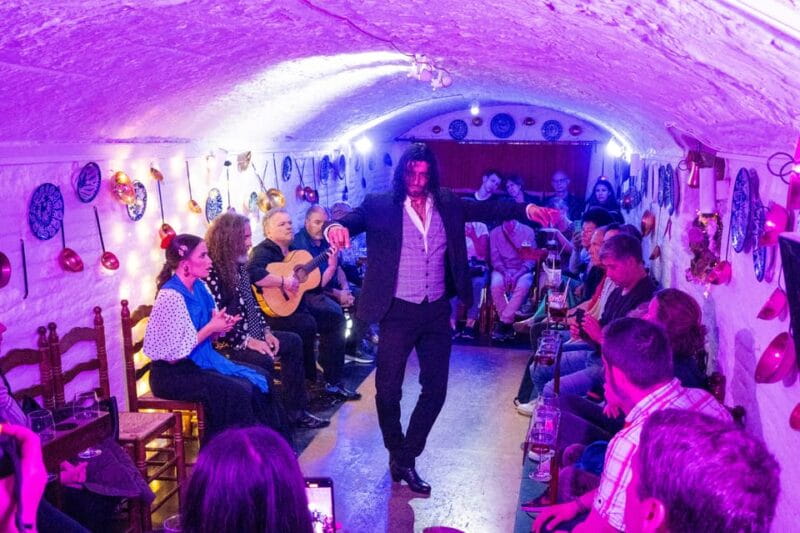 Granada: Authentic and intimate Flamenco Show with Snacks - Price and Value: Is It Worth It?