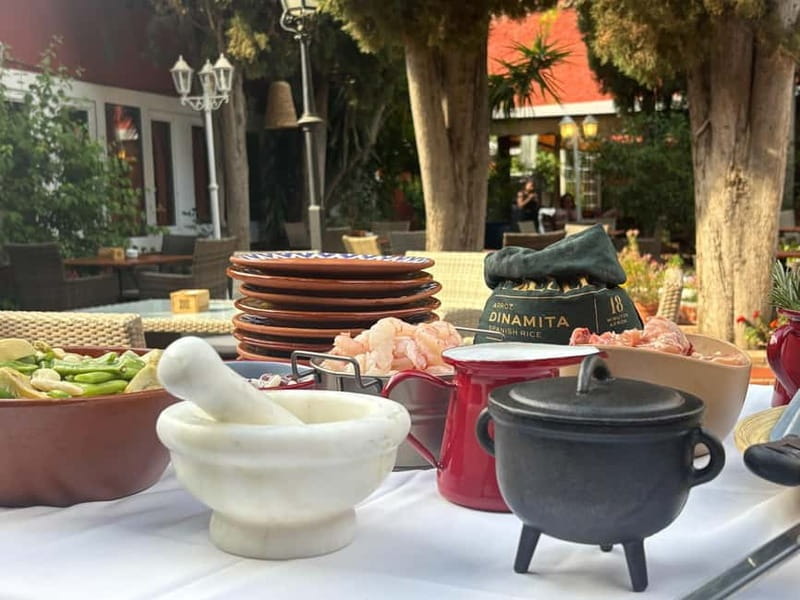 Granada: Dinner with Paella on a Terrace in the Albayzín and Live Flamenco - Key Points / Takeaways