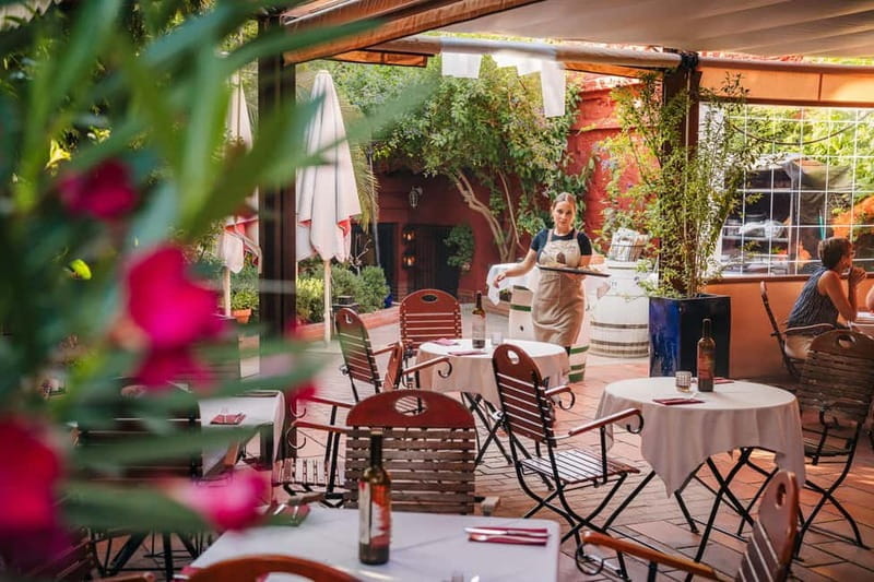 Granada: Dinner with Paella on a Terrace in the Albayzín and Live Flamenco - Who This Experience Is Perfect For