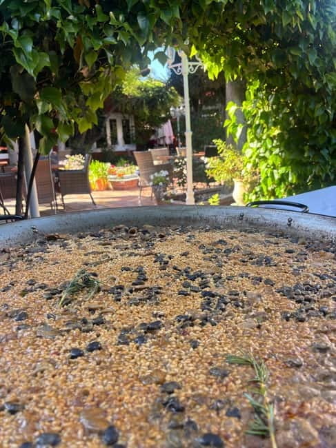 Granada: Dinner with Paella on a Terrace in the Albayzín and Live Flamenco - Price and Logistics: Analyzing Value and Practicalities