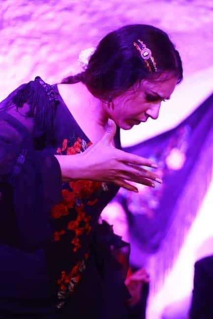 Granada: Flamenco Los Parrones in the Sacromonte Caves - The Los Parrones Family: Flamenco as a Living Tradition