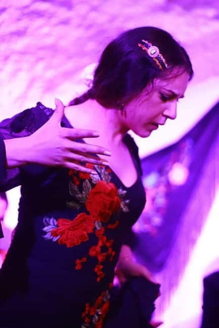 Granada: Flamenco Los Parrones in the Sacromonte Caves - Who It’s Perfect For