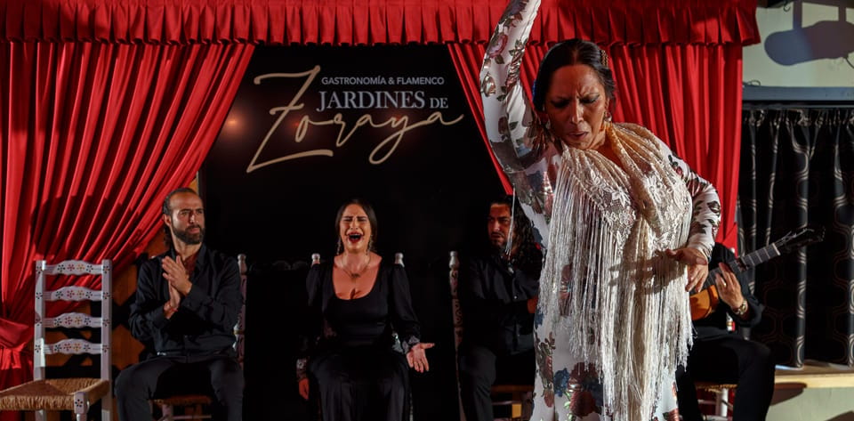 Granada: Flamenco Show in Albaycin - Jardines De Zoraya - Tips for an Enhanced Experience