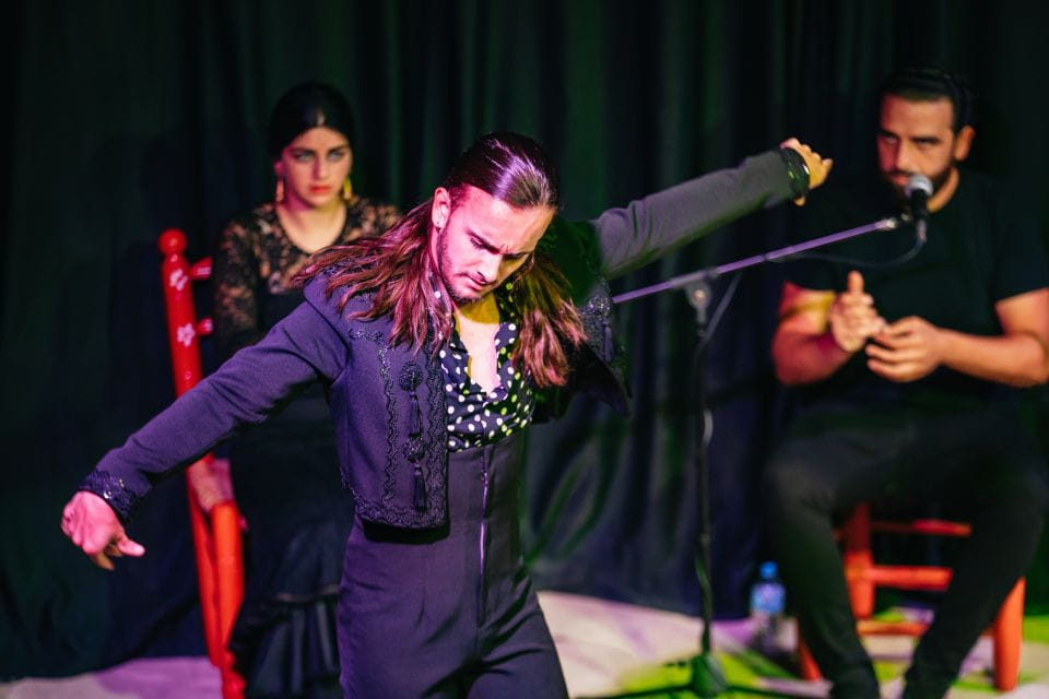 Granada: Flamenco Show in La Alboreá - Tips for Attendees