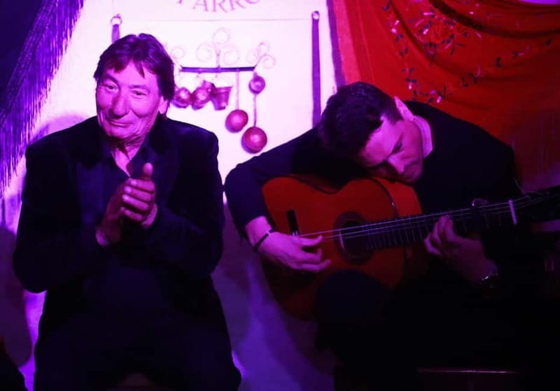 Granada: Flamenco Show Los Parrones in the Sacromonte Caves - Who Will Love This Experience?