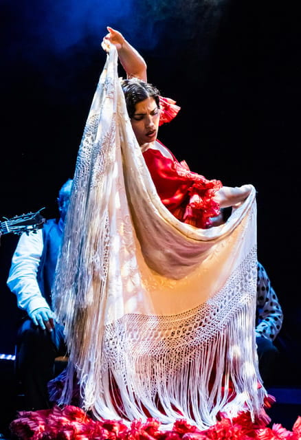 Granada: Flamenco Show "Sensaciones" at the Flamenco Theater Granada - Key Points / Takeaways