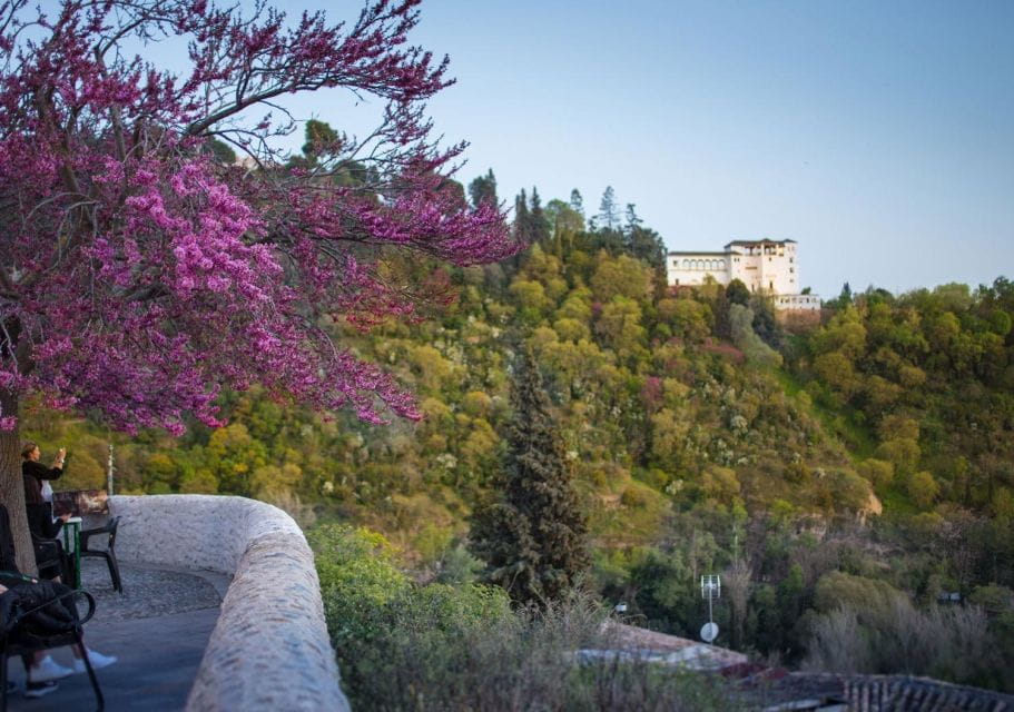 Granada: Half-Day 4-Neighborhoods 4-Cultures Private Tour - Things To Know