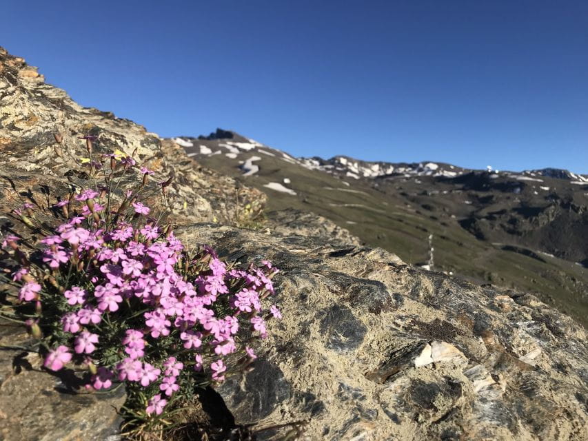 Granada: High Sierra Nevada Hiking Tour - Pricing and Duration