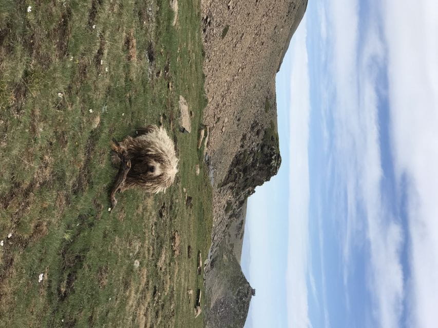 Granada: High Sierra Nevada Hiking Tour - Things To Know