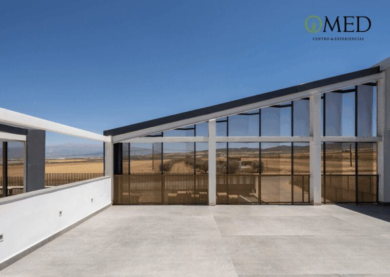 Granada in EVOO: Guided tour and unique sensorial tasting - Price, Logistics, and Practical Tips