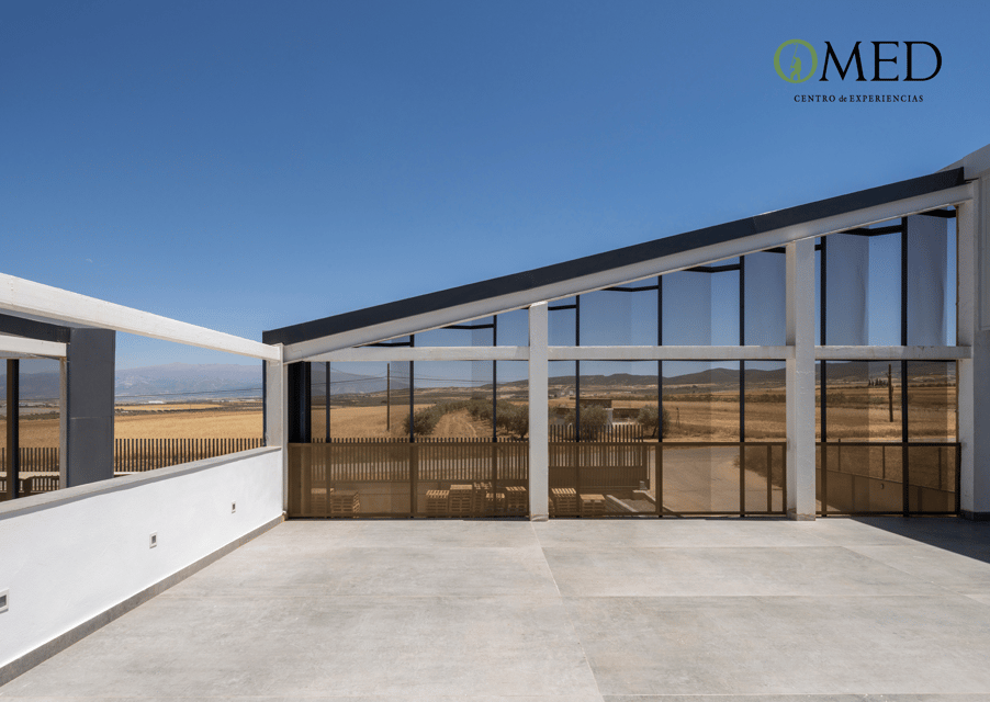 Granada in Evoo: Guided Tour and Unique Sensorial Tasting - Key Points