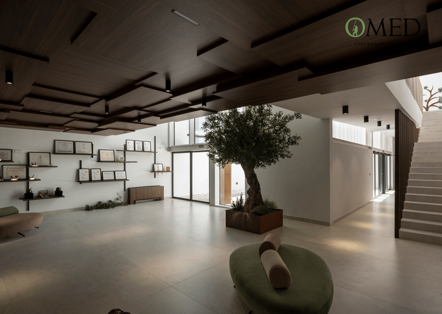 Granada in Evoo: Guided Tour and Unique Sensorial Tasting - Highlights of the Experience